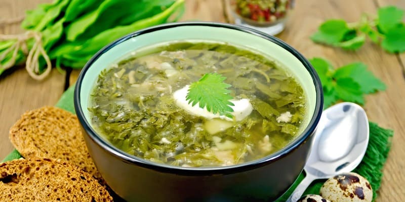 Зеленый борщ с крапивой в тарелке с половинкой яйца, сметаной и зеленым луком